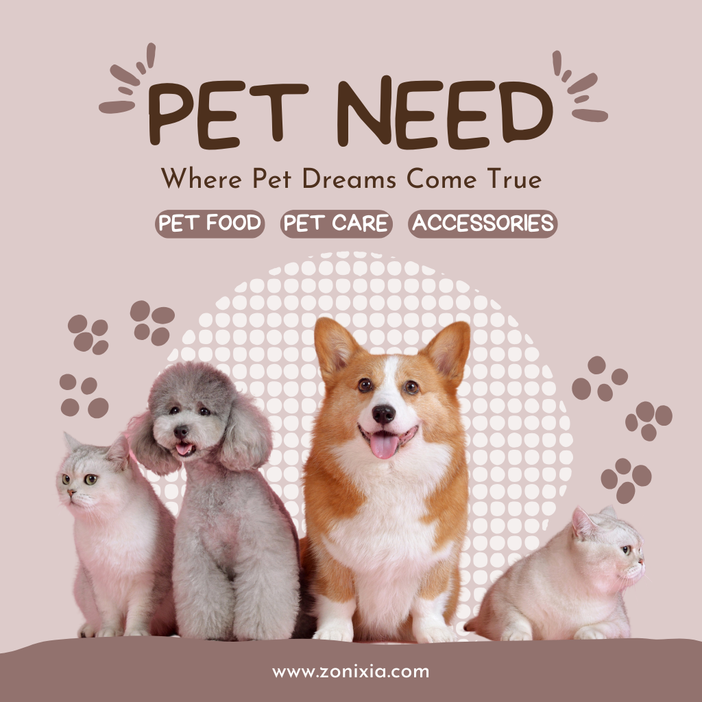 Pet Accessories